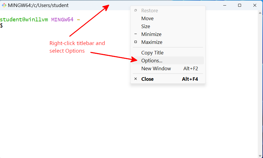 options git bash start