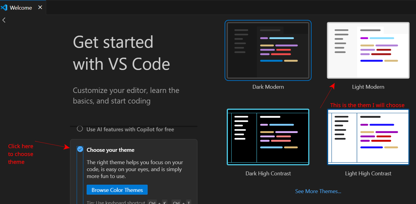 choosing light theme
