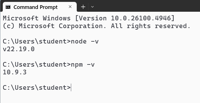 cmd prompt test node
