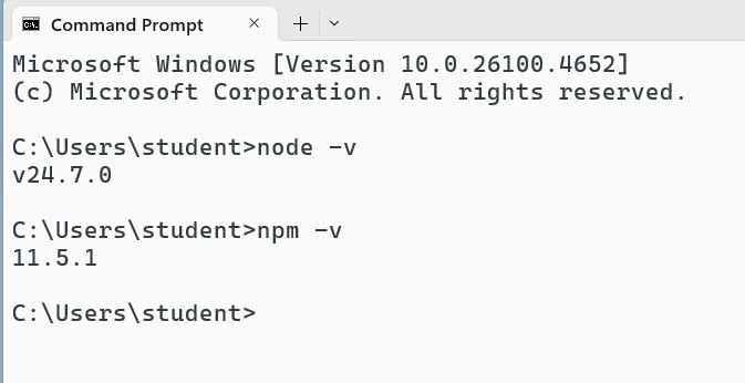 node npm versions