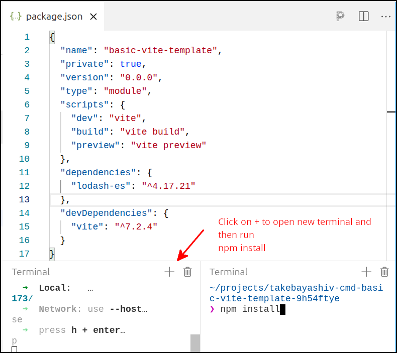 install lodash stackblitz
